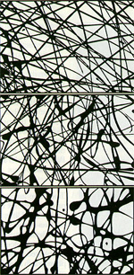 Jackson Pollock painting at different magnifications